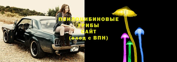 прущие грибы Алексин