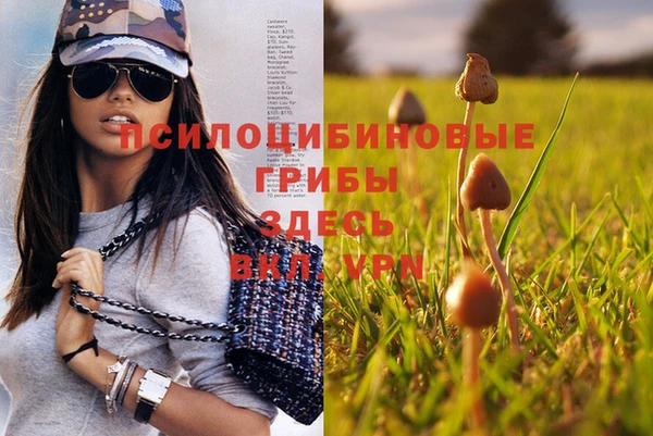 2c-b Абаза