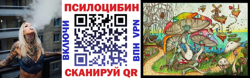 Галлюциногенные грибы Cubensis Тбилисская