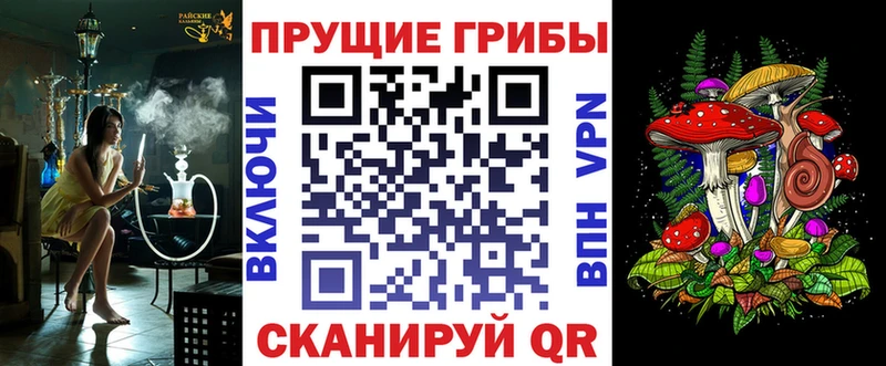 площадка как зайти  Тбилисская  Галлюциногенные грибы Cubensis 